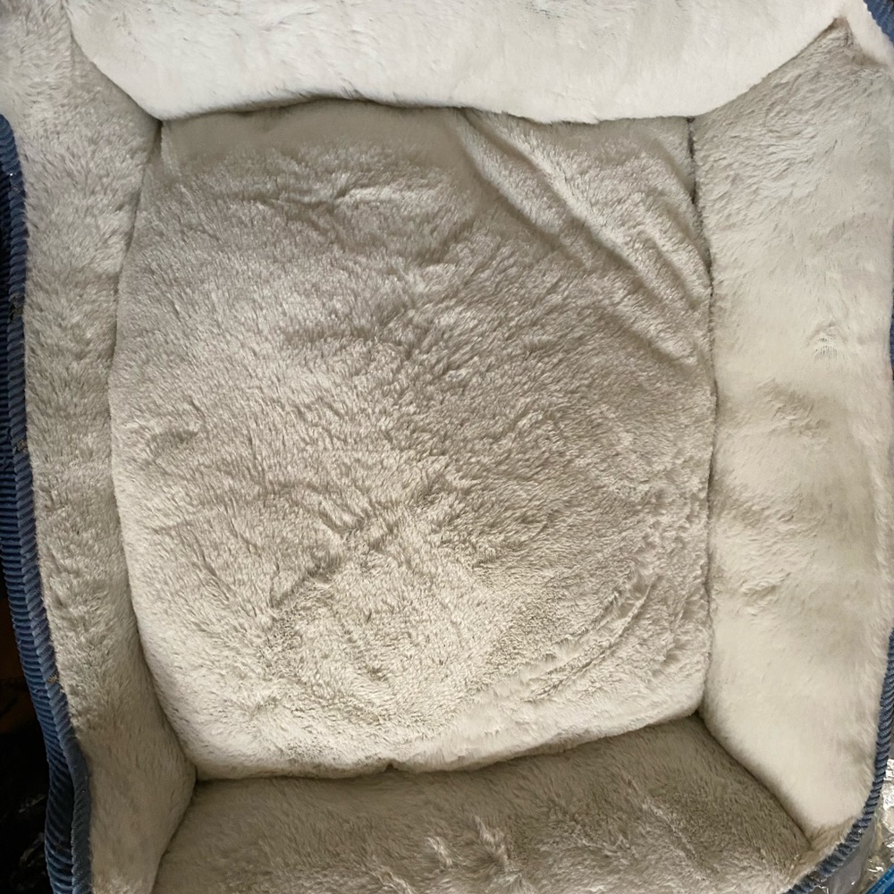 Small dog/Puppy essentials - Picture 3 of 4